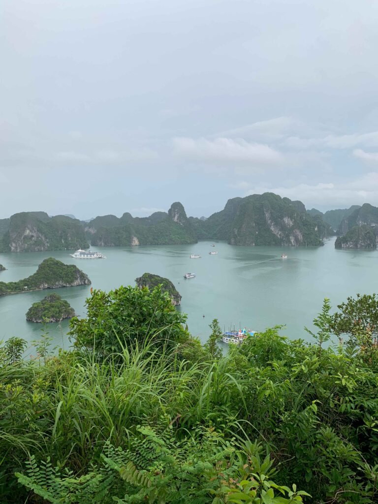 Towering limestone islands of Ha Long Bay viewed from a jungle overlook in Vietnam.