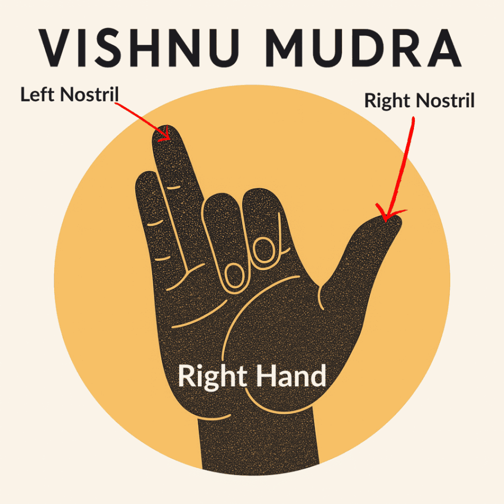 Illustration of the right hand in Vishnu Mudra for Nadi Shodhana, with arrows pointing to left and right nostrils and labeled fingers
