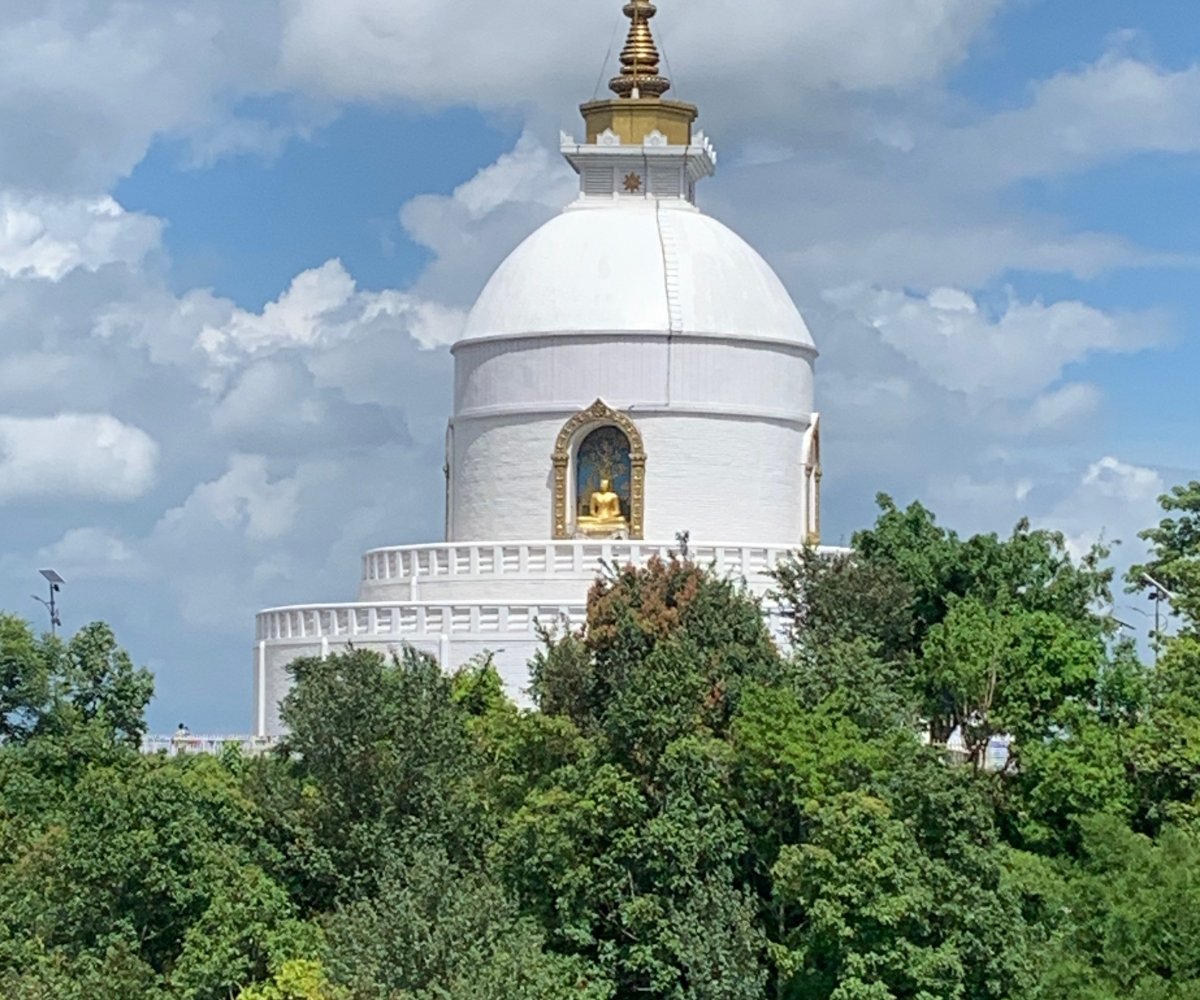 White World Peace Pagoda in Pokhara surrounded by trees with a golden Buddha statue visible