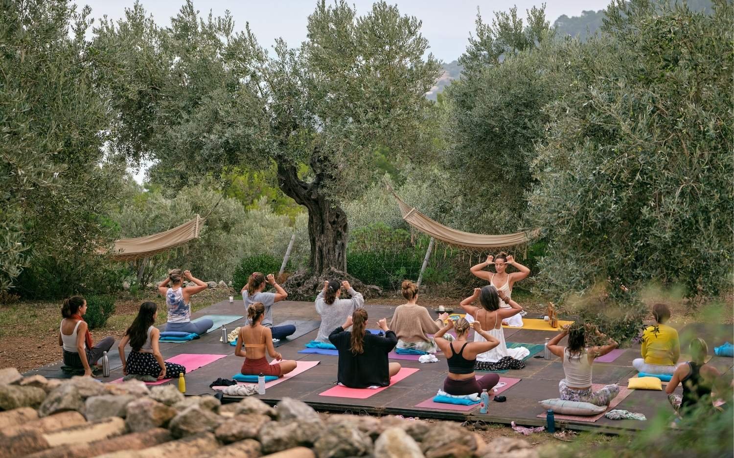 Yoga teacher training class practicing outdoors in a serene olive grove